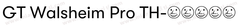 GT Walsheim Pro TH字体转换